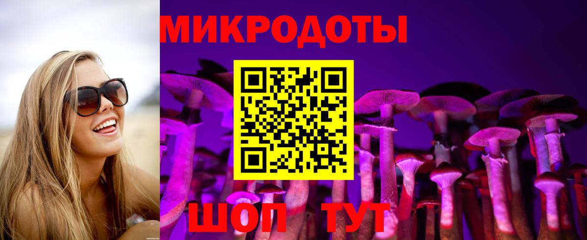 Тулун  Псилоцибиновые грибы MAGIC MUSHROOMS  купить   Вход с VPN  Галлюциногенные грибы мухоморы 